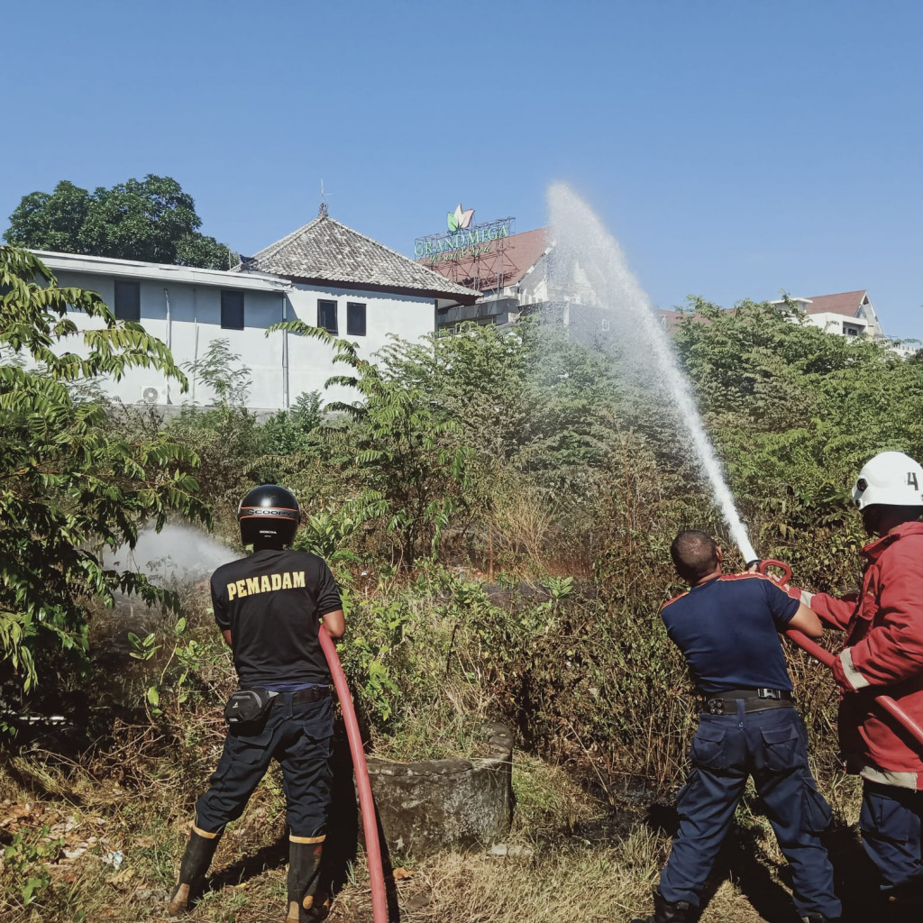 Kebakaran Alang alang di Jalan Griya Anyar, Banjar Temacun, Kelurahan Kuta, Kecamatan Kuta Tanggal 3 Juni 2023